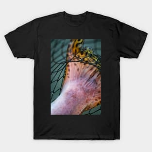 Salmon Tail 2 T-Shirt